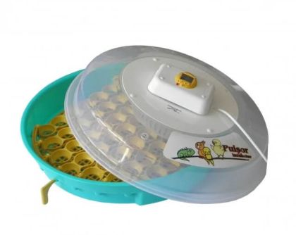 Incubator cu regulator programabil de temperatura Puisor EXTRA