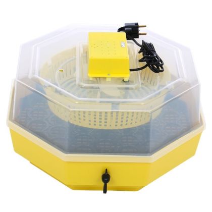 Incubator electric CLEO 5D cu dispozitiv de intoarcere 41 oua gaina