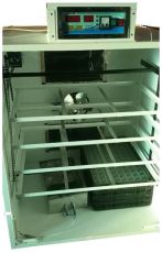 Incubator profesional cu intoarcere automata IP-5, 880 oua gaina - 2210 oua prepelita - 630 oua rata / curca - 320 oua gasca