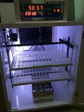 Incubator profesional cu intoarcere automata IP-2S, 422 oua prepelita - 176 oua gaina - 126 oua rata / curca - 64 oua gasca