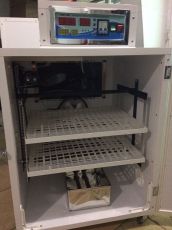 Incubator profesional cu intoarcere automata IP-2S, 422 oua prepelita - 176 oua gaina - 126 oua rata / curca - 64 oua gasca