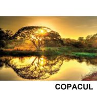 Panou radiant infrarosu imprimat 600 W Dragus + cadou 
