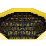 Incubator electric CLEO 5D cu dispozitiv de intoarcere 41 oua gaina